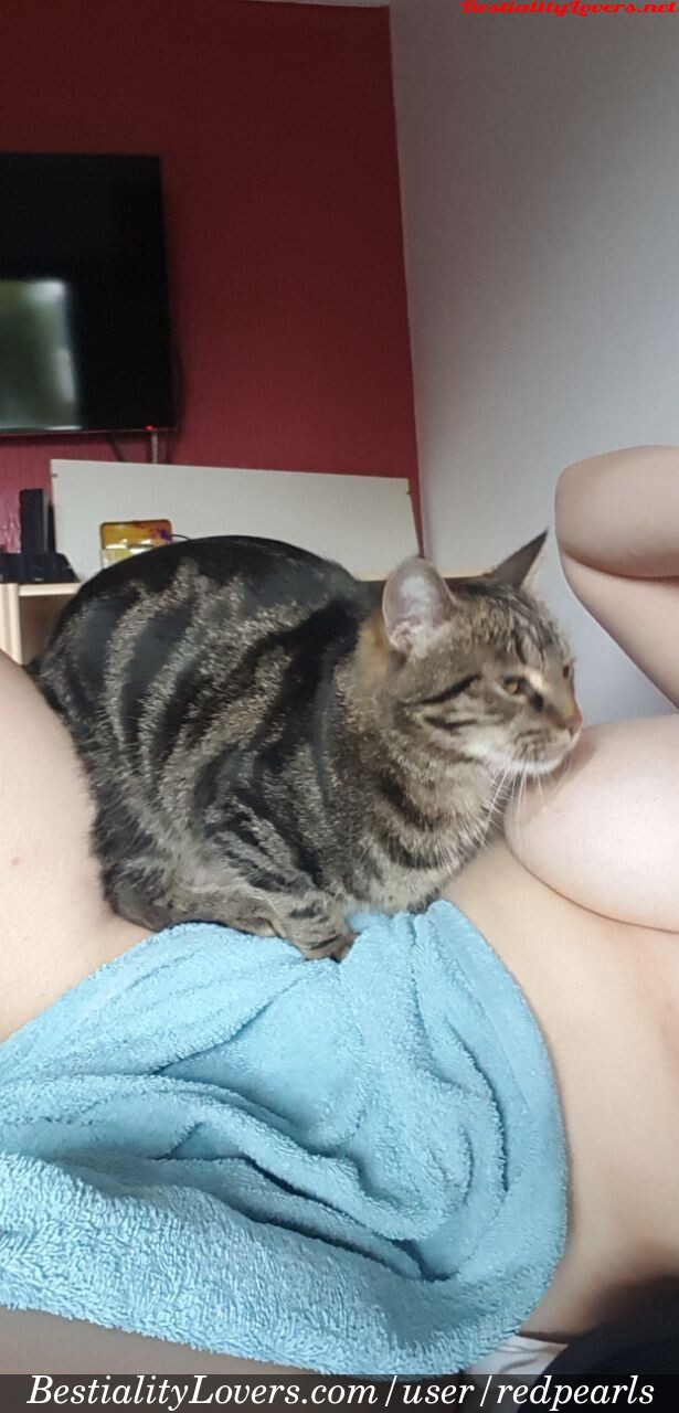 bestialitylovers.com 