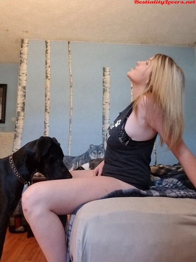 625px x 833px - Teens and matures with dog on webcam - Photo 5452 - Bestialitylovers -  Watch Free Porn Video