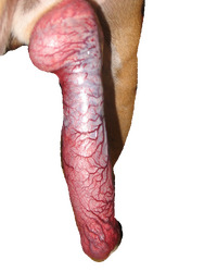 photo-thumb