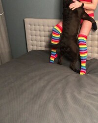 album-cover