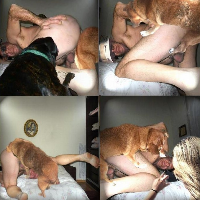 krushea的化身