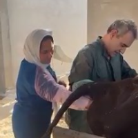 sara_elkady的化身