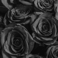 Darkdelight的化身