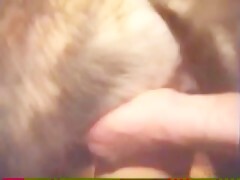Thumb 14