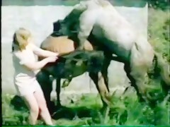 Bizarre - Farm Sex - Bestialitylovers - Watch Free Porn Video