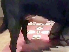 Thumb 16