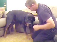 My Horny Rottweiler Lover