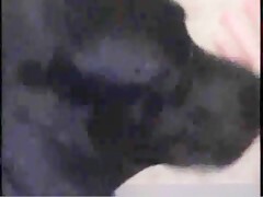 Thumb 15