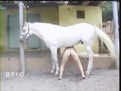Brazilian girl sucking white horse - Bestialitylovers - Watch Free Porn  Video