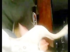 Horny girl sucks Doggy Beast sex videos