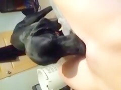 Cute dog licking her pussy - Animals porn - HD Porn