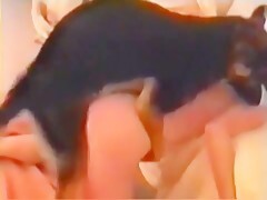 Dog fucks girl - XXX Animal videos HD Porn - Bestialitylovers - Watch Free  Porn Video