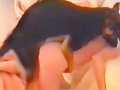 240px x 180px - Dog fucks girl - XXX Animal videos HD Porn - Bestialitylovers - Watch Free  Porn Video