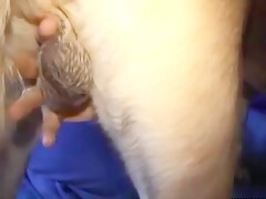 Thumb 15