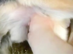 Thumb 14