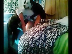 Homemade Sex With Dog - Best sex clip dog amateur best full version - Bestialitylovers - Watch Free  Porn Video