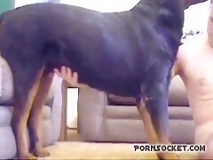 Man fuck and suck dog - Bestialitylovers - Watch Free Porn Video