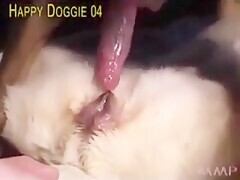 240px x 180px - I help my dog fuck my bitch - Bestialitylovers - Watch Free Porn Video