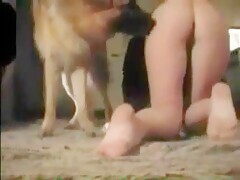 Dog Fucks Indian Slut - Bestialitylovers - Watch Free Porn Video