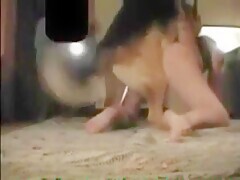 Dog Fucks Indian Slut - Bestialitylovers - Watch Free Porn Video