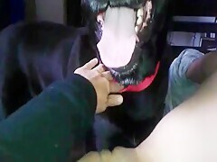 HOT Latina teen and dog sucks pussy