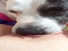 Thumb 19