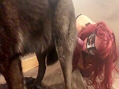 Dog Love Fuck And Warm Pussy Creampie Sweet Teen