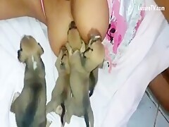 Feeding their puppies