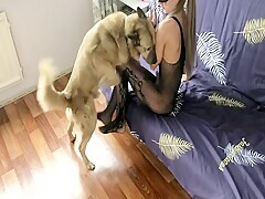 Free Premium Video Dog Sex