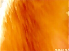 Thumb 13