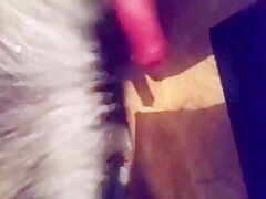 Thumb 16