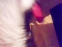 Thumb 17