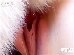 Thumb 17