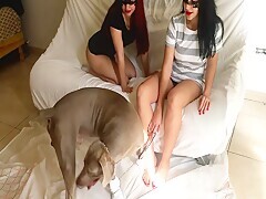 Two Lovely Babes With Her Dog