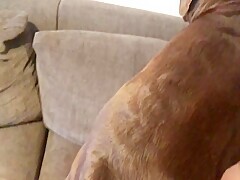 Thumb 16