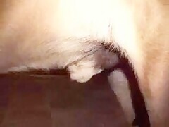 Thumb 15