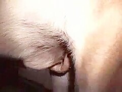 Thumb 17